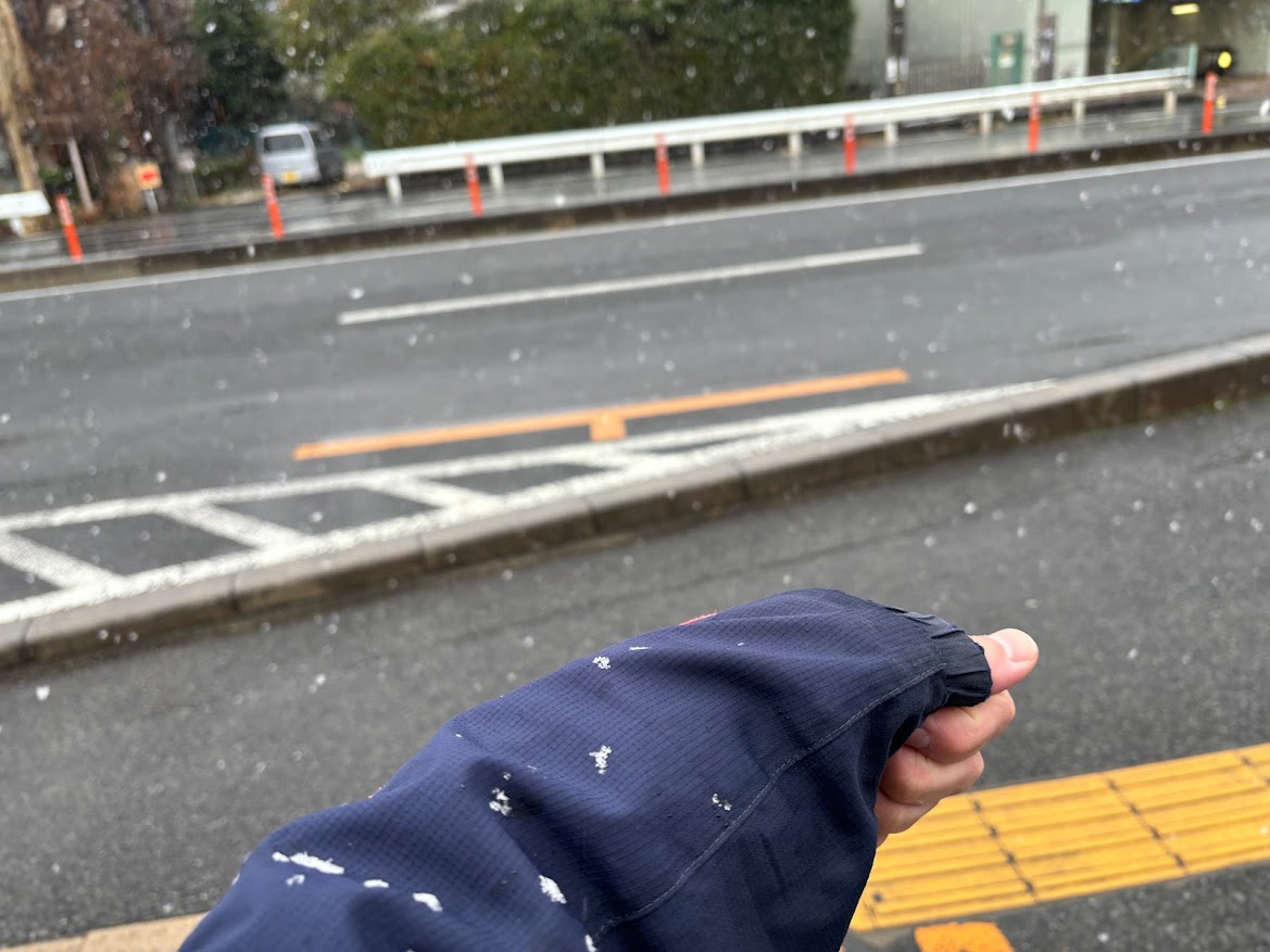埼玉高速鉄道線 南鳩ヶ谷駅前でもう雪が降っていた