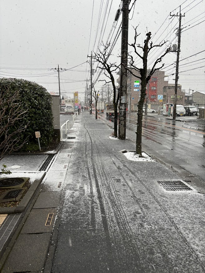 埼玉県川口市 南鳩ヶ谷駅近くで積雪