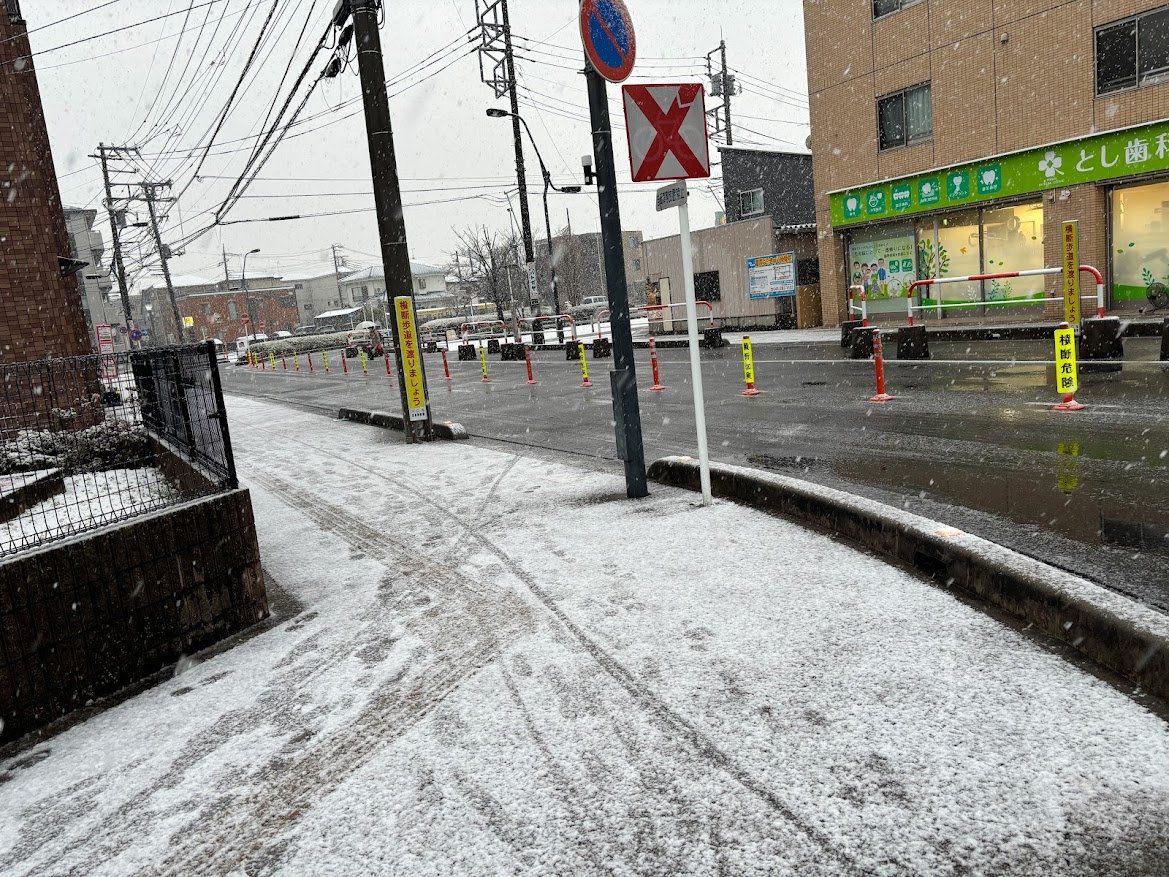 埼玉県川口市 南鳩ヶ谷駅近くで積雪