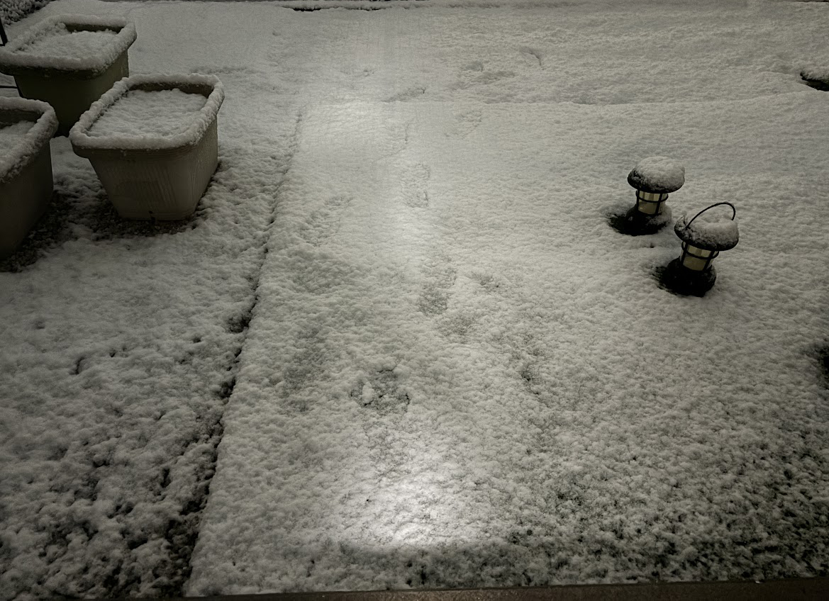 わが家の庭の積雪状況（2024年2月5日 20時14分）