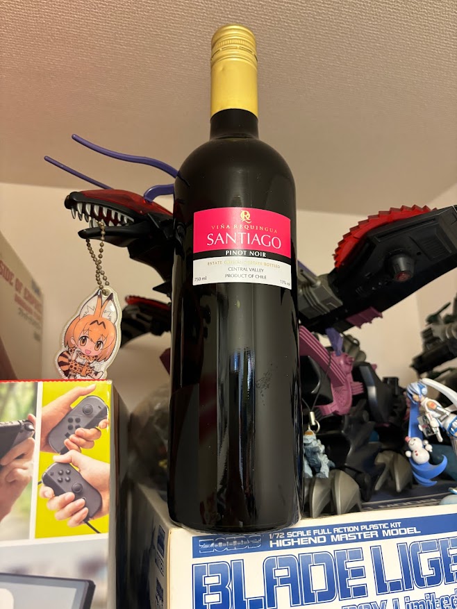 チリの赤ワイン「SANTIAGO PINOT NOIR（サンティアゴ ピノ・ノワール）」【F:2022-07-08】