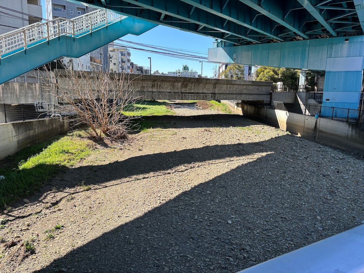 空堀川の天王橋周辺 干上がってね?
