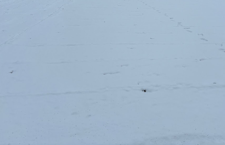 土の部分の雪