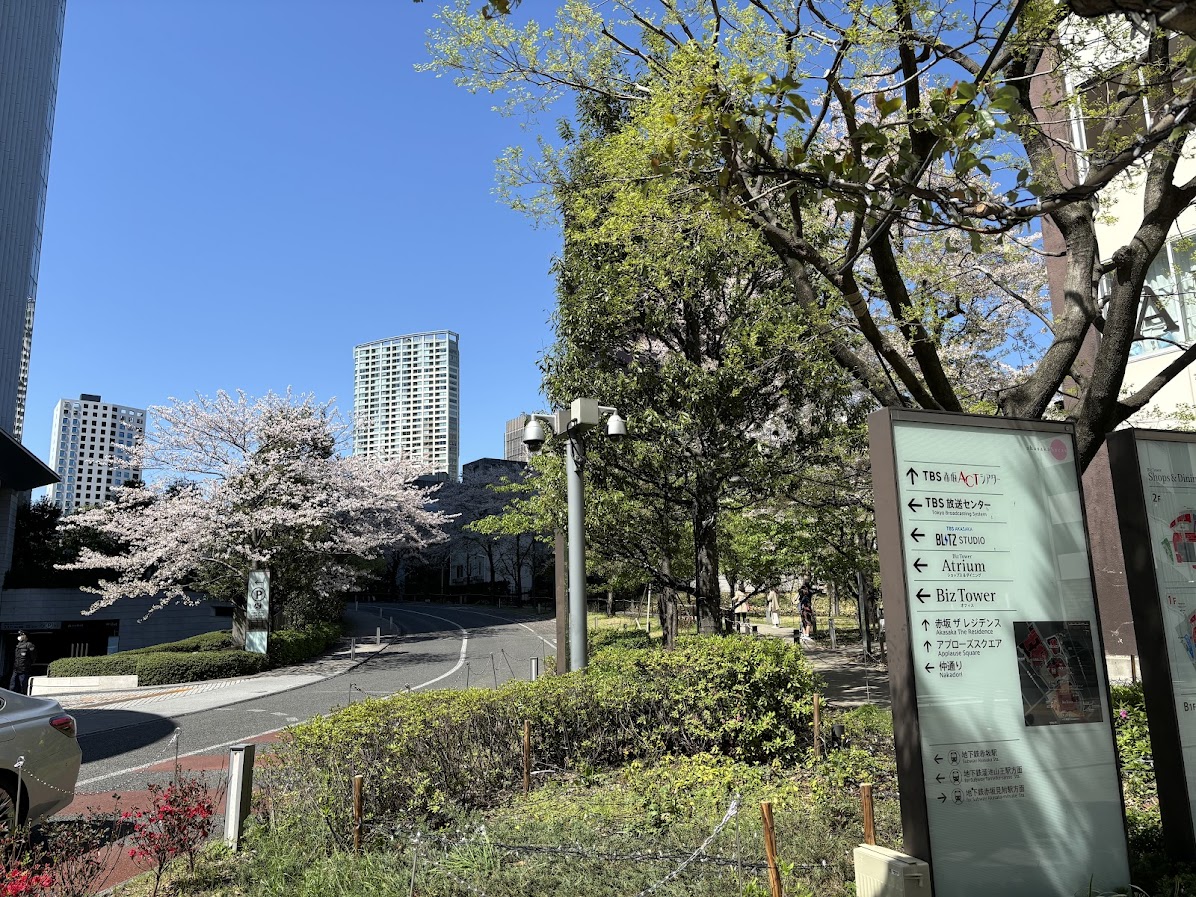 赤坂Bizタワー SHOPS&DINING近くの桜