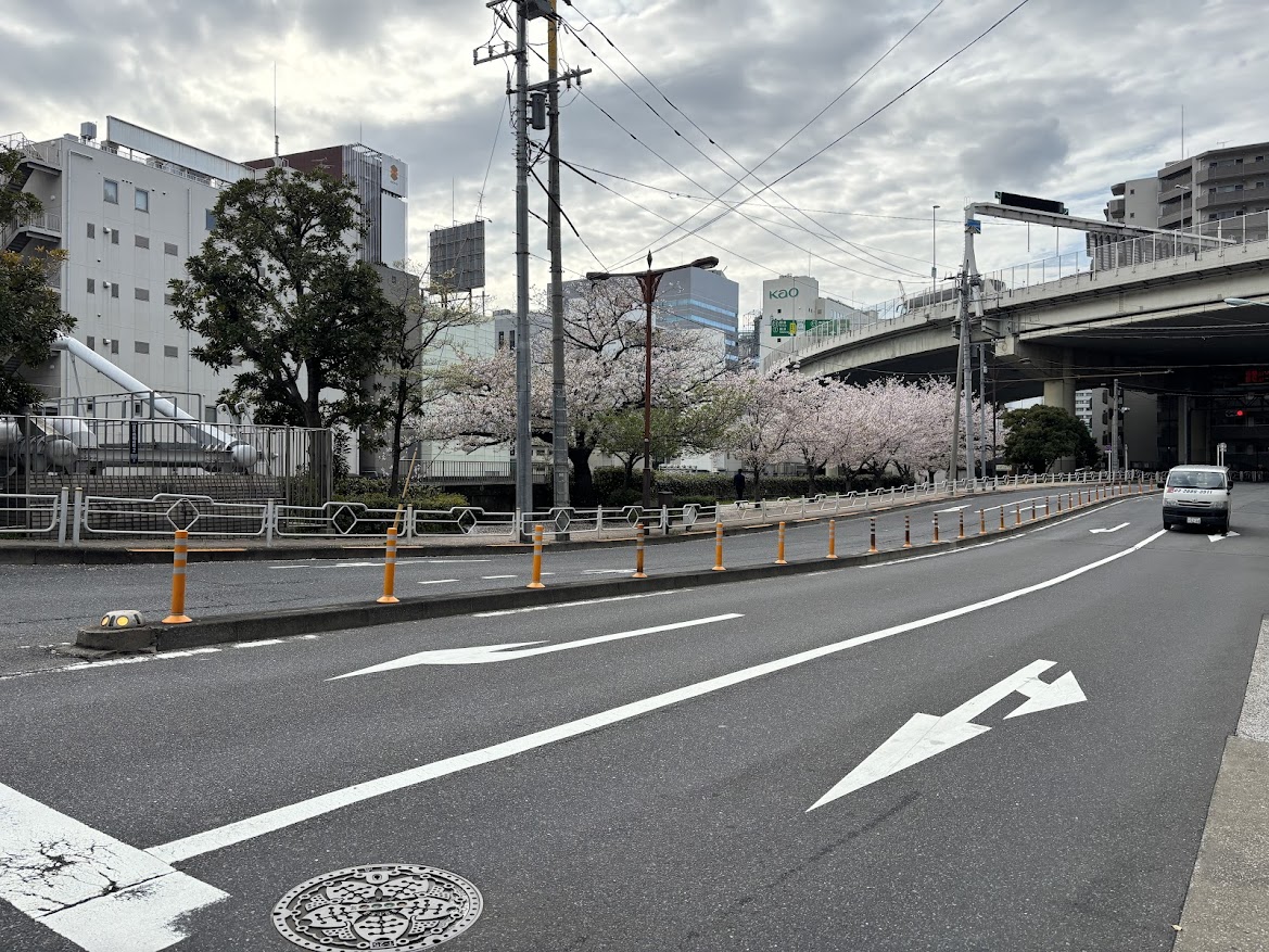 水天宮前から茅場町へ向かう湊橋近くの桜