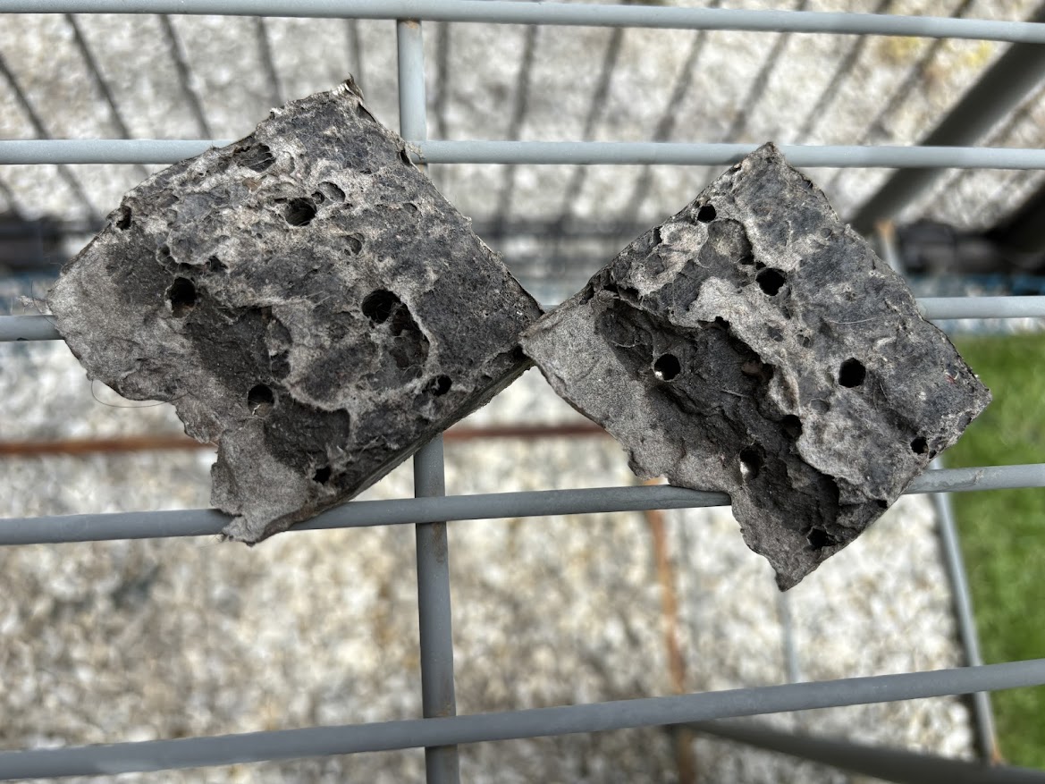 糸くずフィルターから剥がした糸くずというかゴミというかもはや泥を乾燥