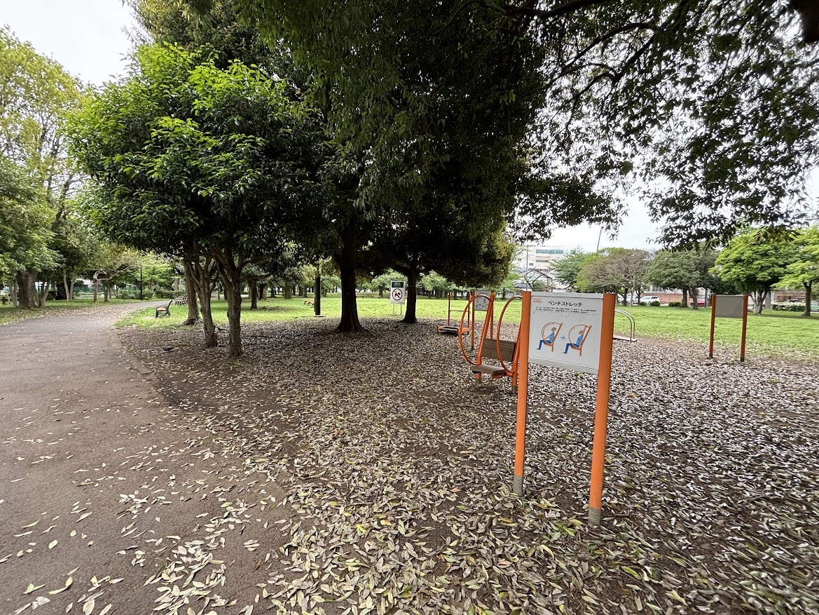 善福寺川緑地 杉二小前広場