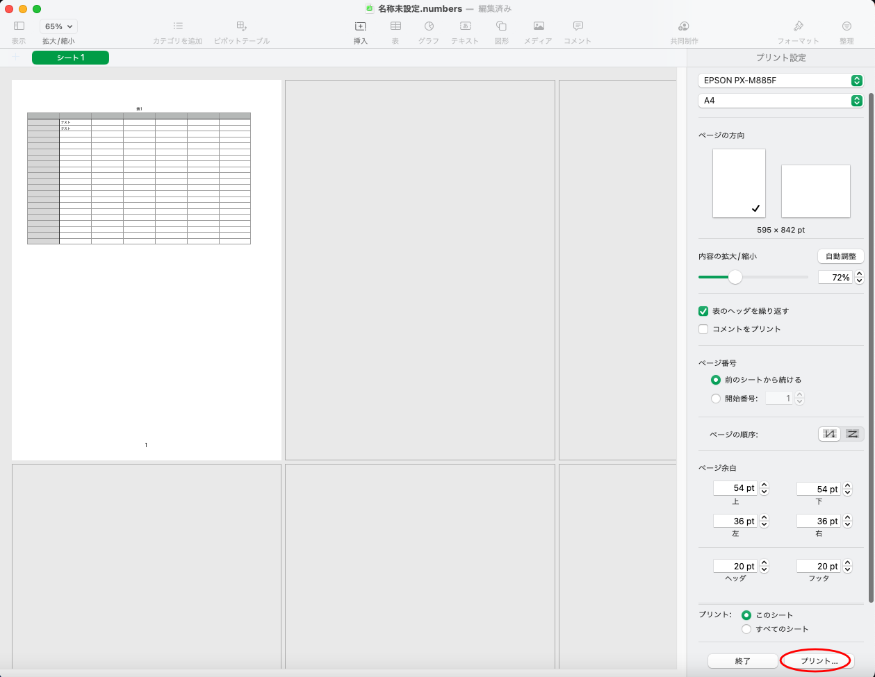 Numbers Ver 13.0で印刷（プリント）設定画面