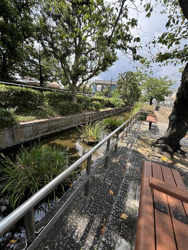 見沼代親水公園の川沿いのベンチ