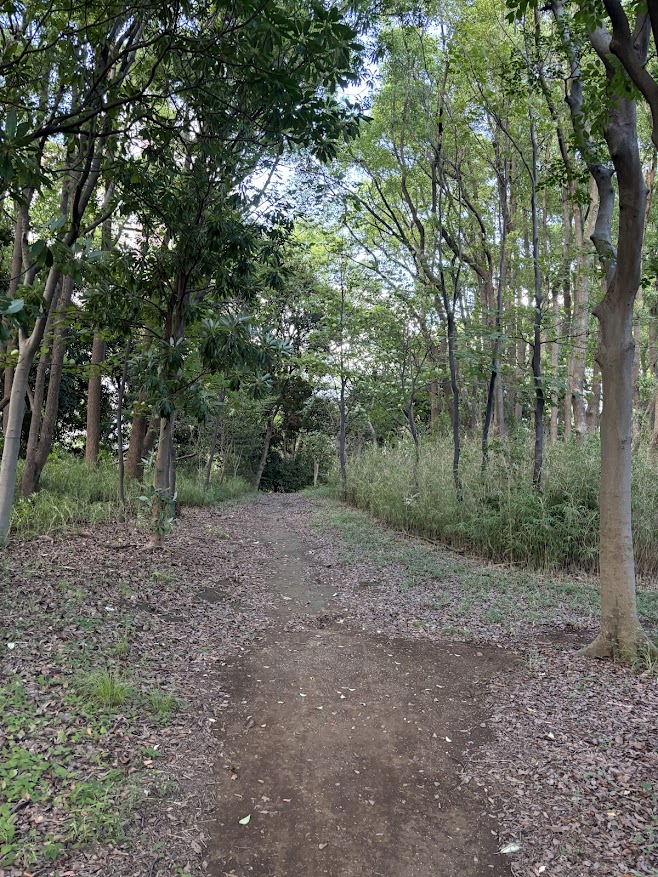 京浜運河緑道公園?