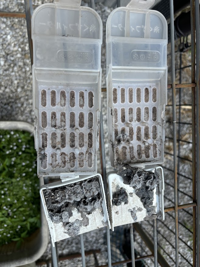 汚れがびっちり詰まった洗濯槽のフィルター