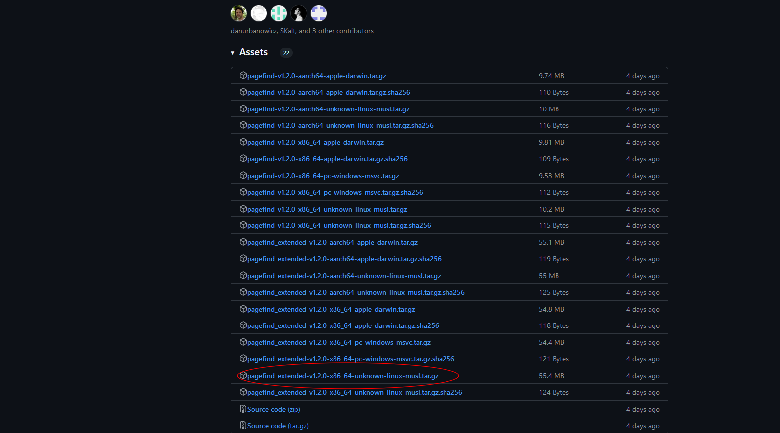 Releases · CloudCannon/pagefindからpagefind_extended-v1.2.0-x86_64-unknown-linux-musl.tar.gzをダウンロード