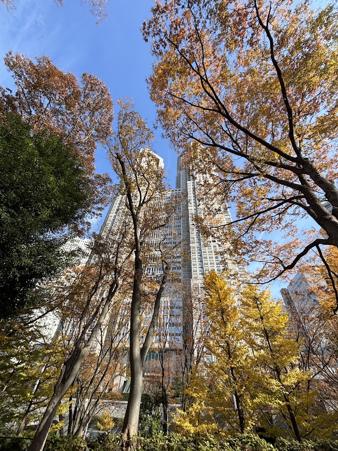 新宿中央公園から都庁