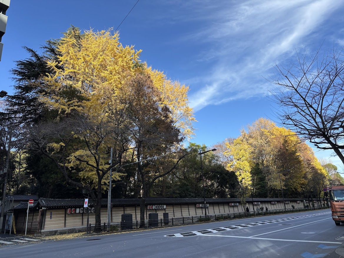 靖国神社の紅葉（主に黄色系）
