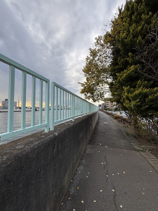 葛飾区 中川の堤防上の遊歩道からスカイツリー