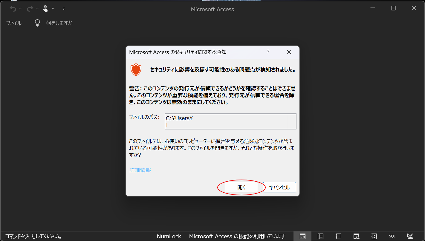 Microsoft Accessのセキュリティに関する通知(Microsoft Access Runtime)