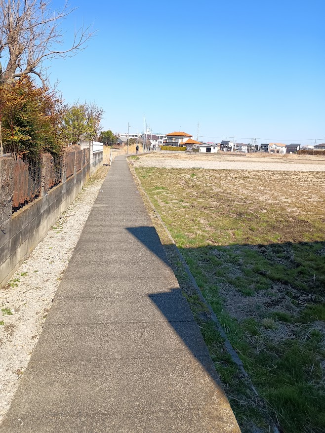 幸手駅西口方面から畑（畑？田んぼ？）を突っ切る道1