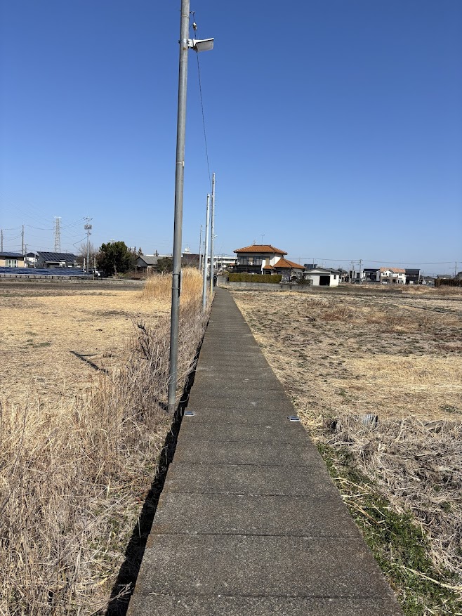 幸手駅西口方面から畑（畑？田んぼ？）を突っ切る道2