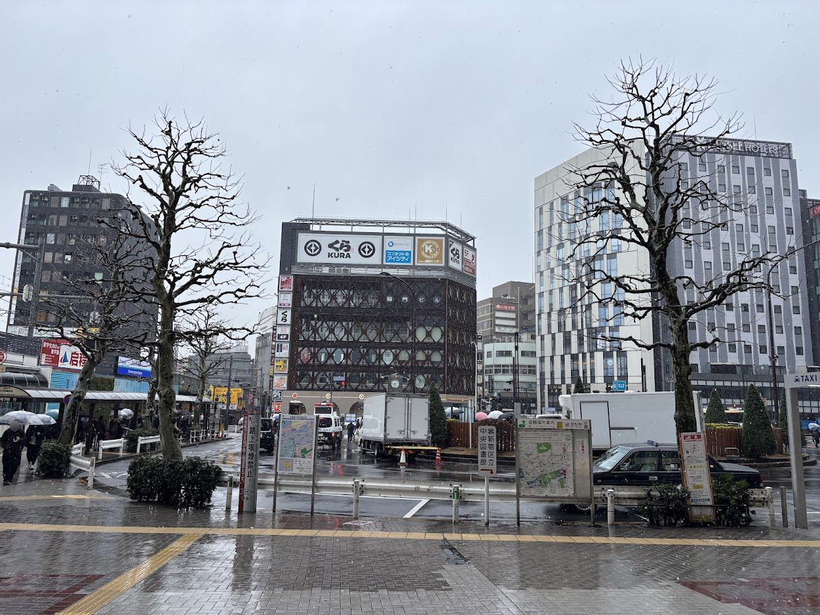 高田馬場駅前も雪
