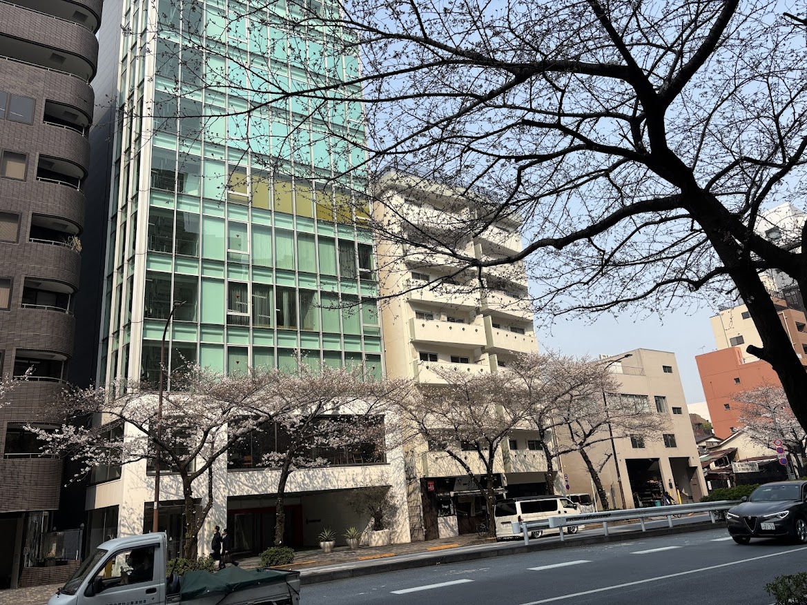 恵比寿駅近くの桜
