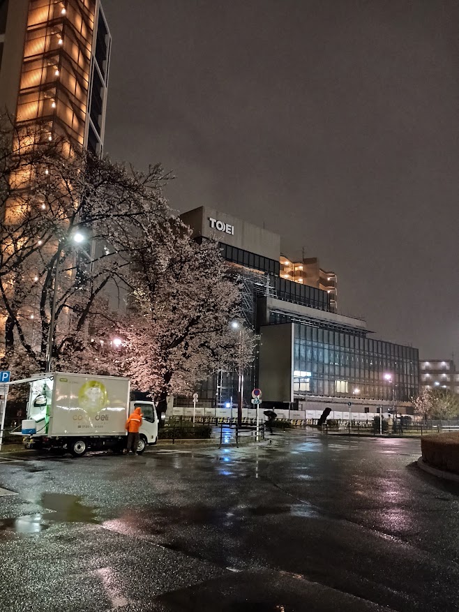 花小金井駅南口の夜の雨の中の桜