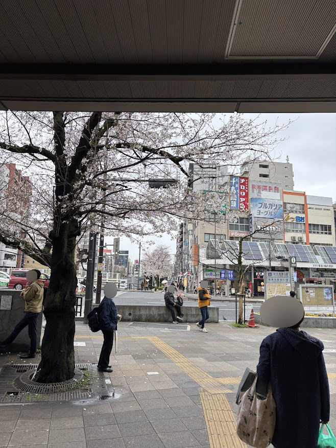 巣鴨駅前の桜