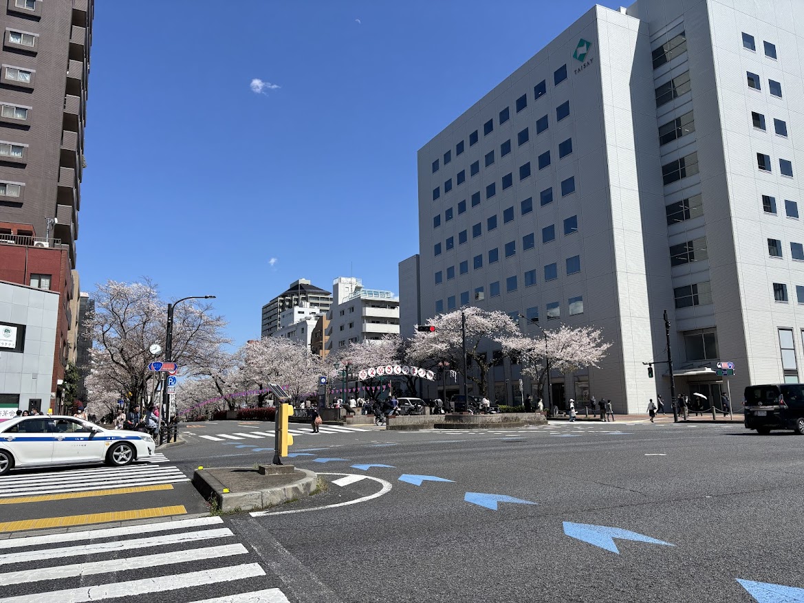 播磨坂通りの第53回文京さくらまつりの桜