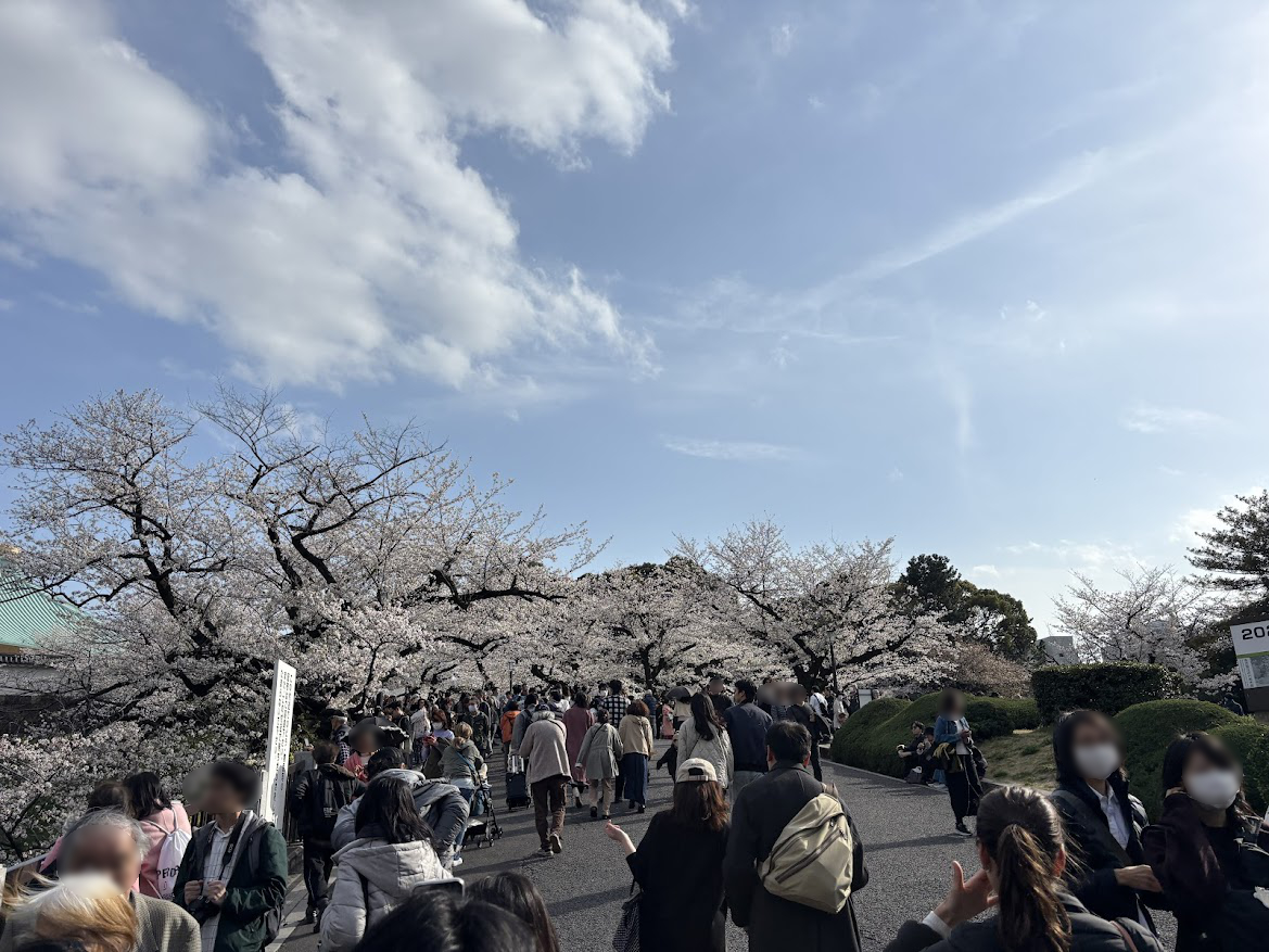 千鳥ヶ淵緑道(北の丸公園)(九段下)の桜