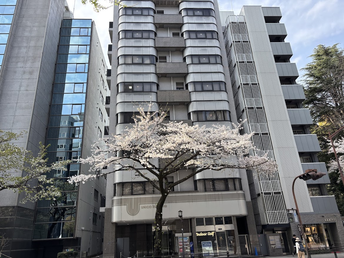 東京都道302号新宿両国線(靖国通り)の桜