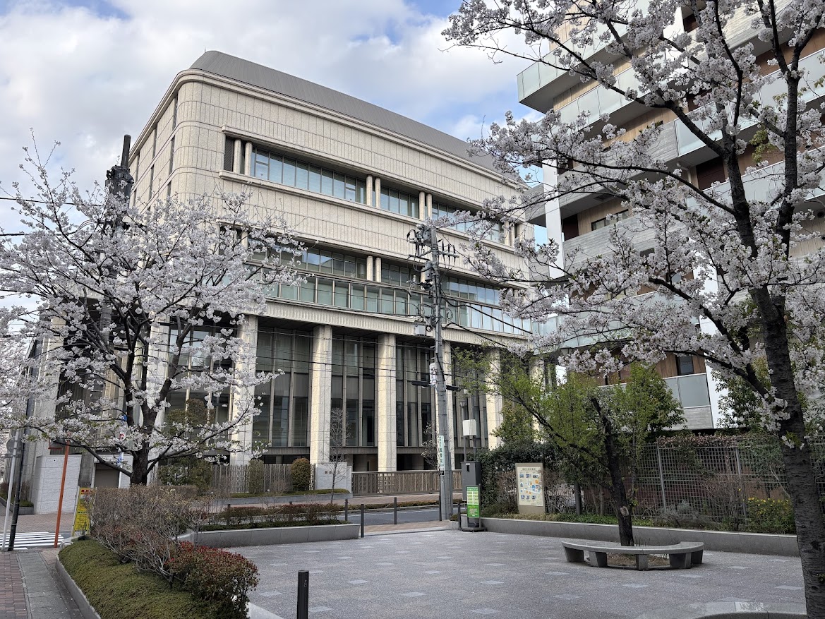 信濃町駅近くの桜