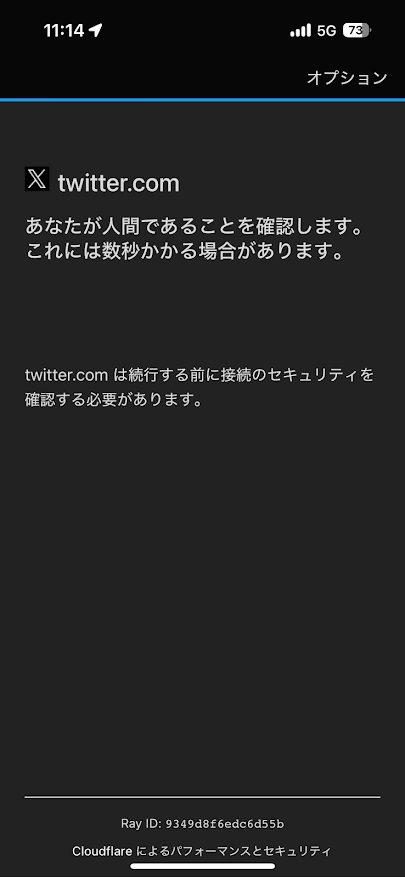 Twitter（現X）公式クライアントアプリ（iPhone版（iOS版））で「人間であることを確認します（Arkoseチャレンジ）」画面が表示されない