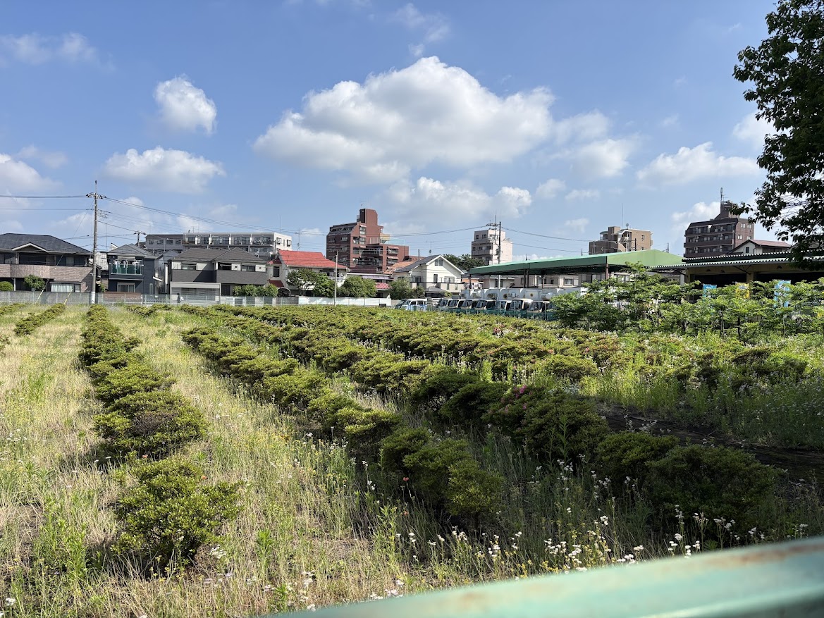 ヤマト運輸 上石神井営業所横の緑地地帯