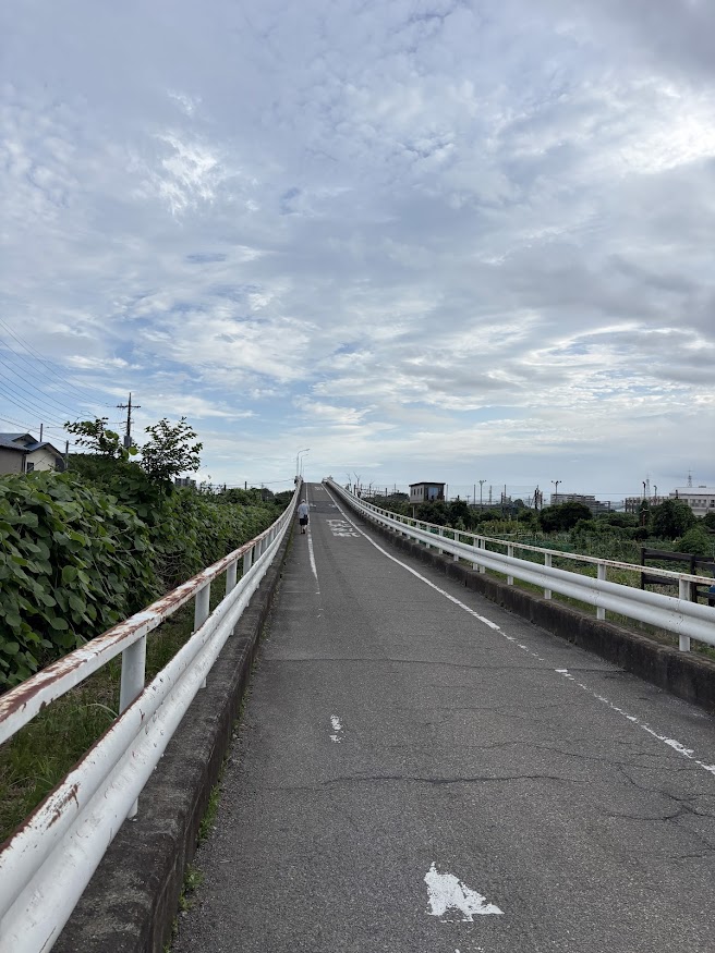 見沼跨線道路橋
