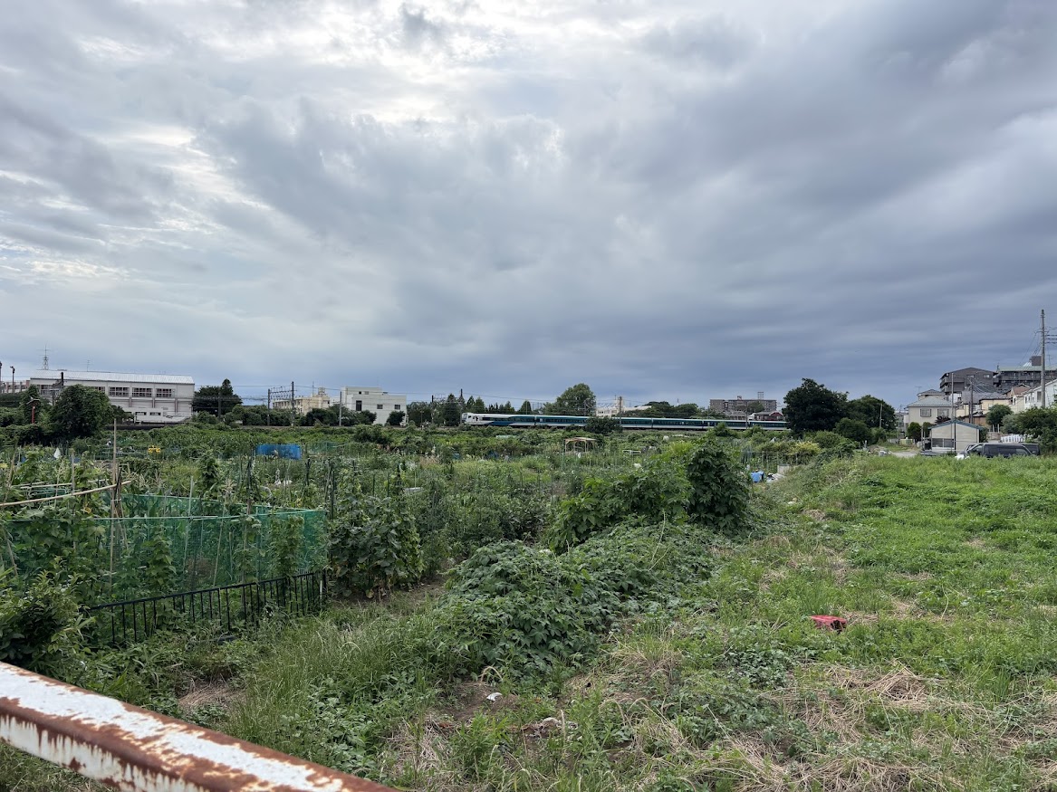 見沼跨線道路橋