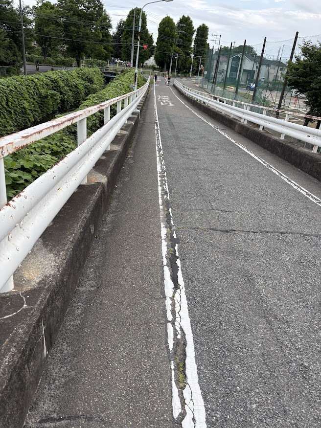 見沼跨線道路橋
