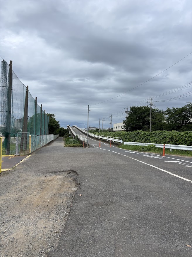 見沼跨線道路橋