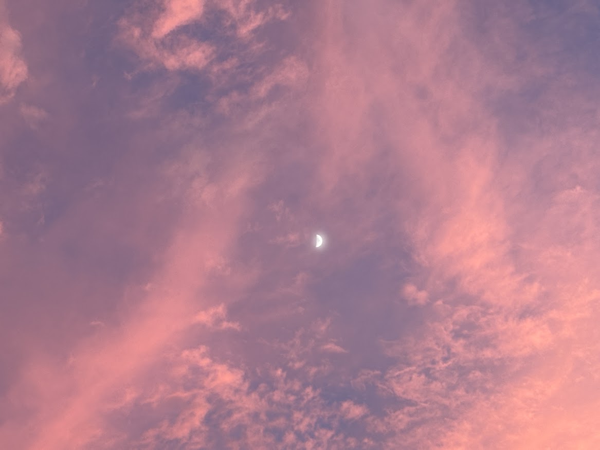 庭からウサギさんと見た夕暮れの赤い空と月