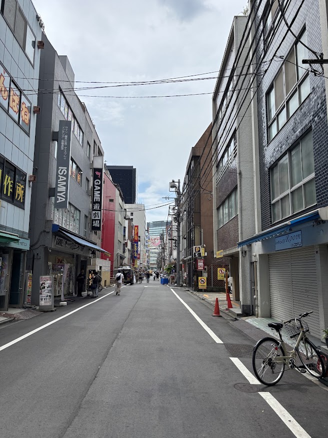 秋葉原ジャンク通りからAKIBAカルチャーズZONE（ラオックス ザ・コンピュータ館）方面