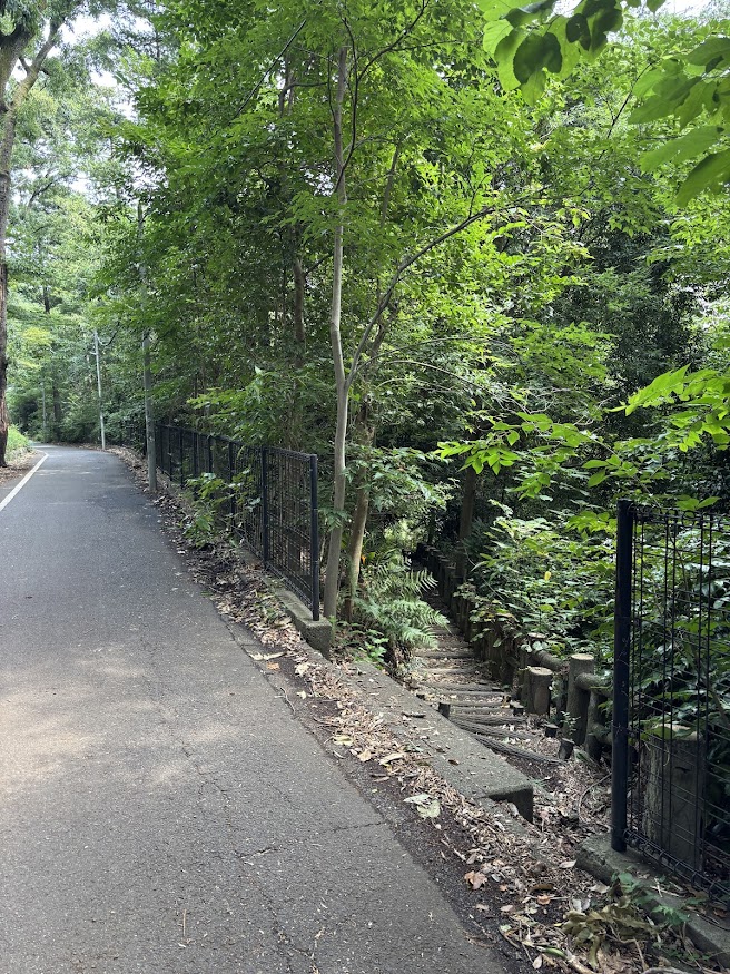 石神井公園 三宝寺池周辺