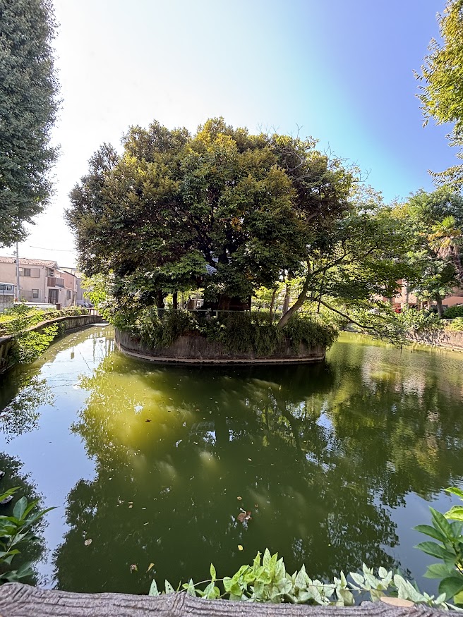 山王花清水公園と弁天池児童遊園と山王厳島神社