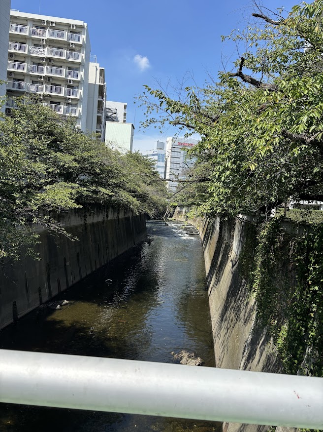曙橋