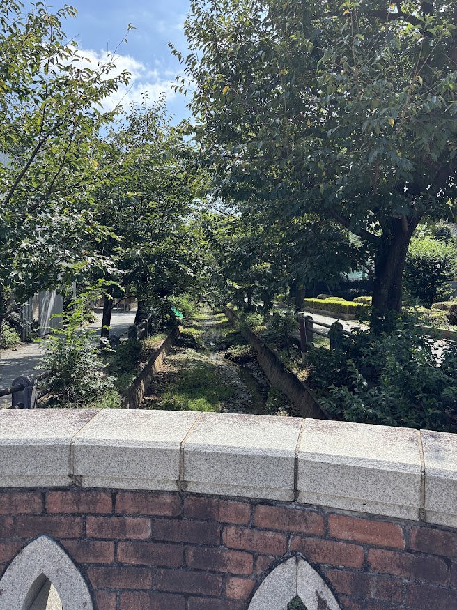 呑川親水公園周辺