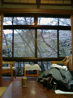 咲花温泉　柳水園の部屋からの眺め（春なので桜を見つつ酒が飲めます）