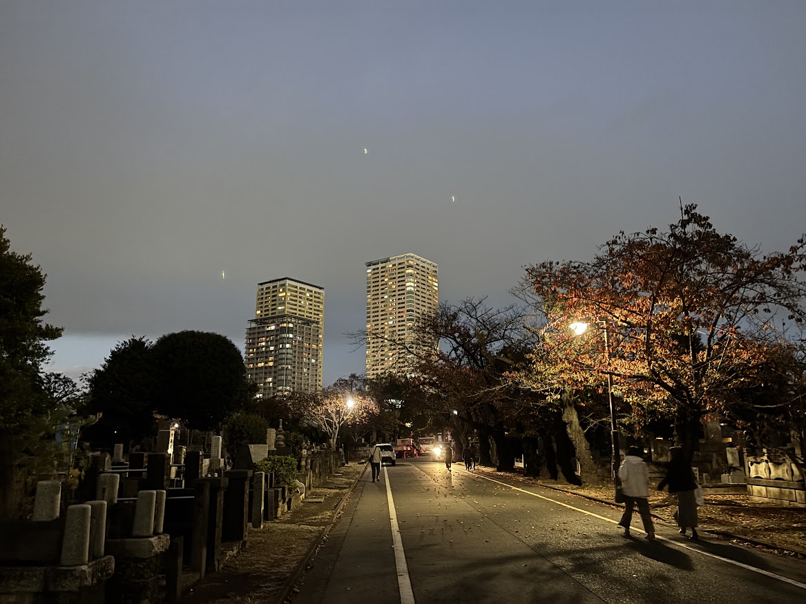 谷中霊園のさくら通りから日暮里のタワーマンション