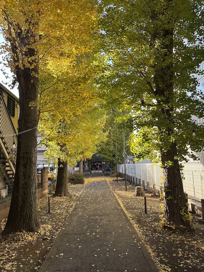 鈴木稲荷神社とイチョウの紅葉
