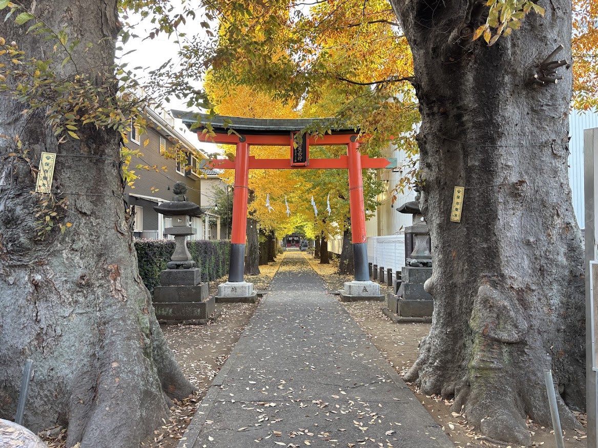 鈴木稲荷神社とイチョウの紅葉