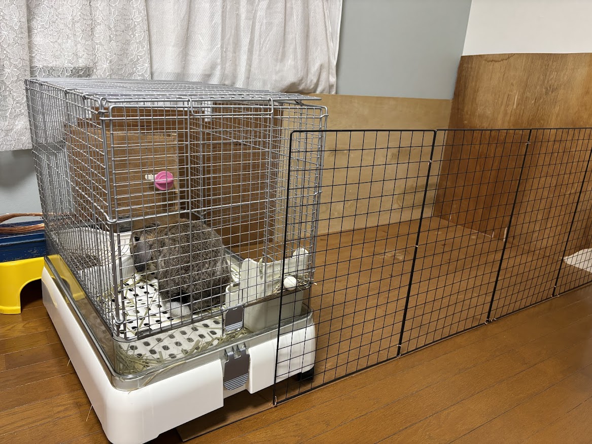 嫁さん実家__に泊りに行ったウサギさん