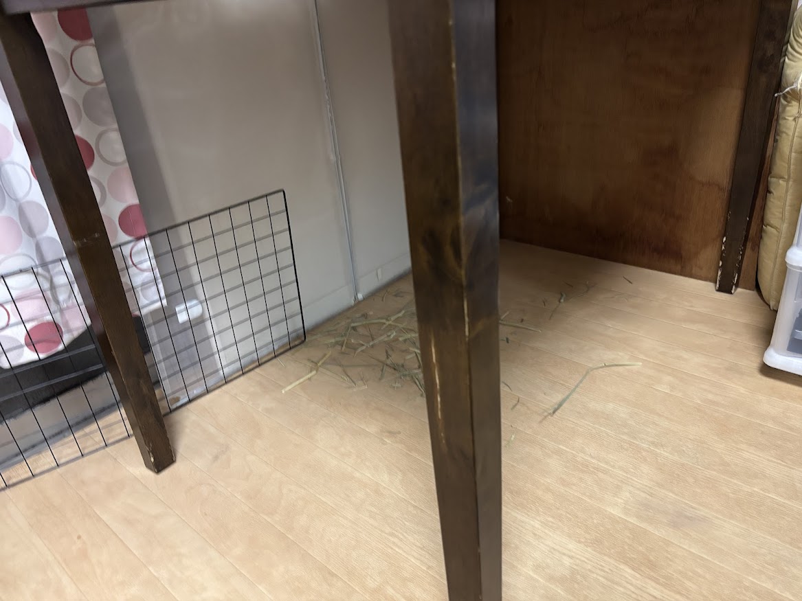 わが家のウサギさんのケージがあった場所