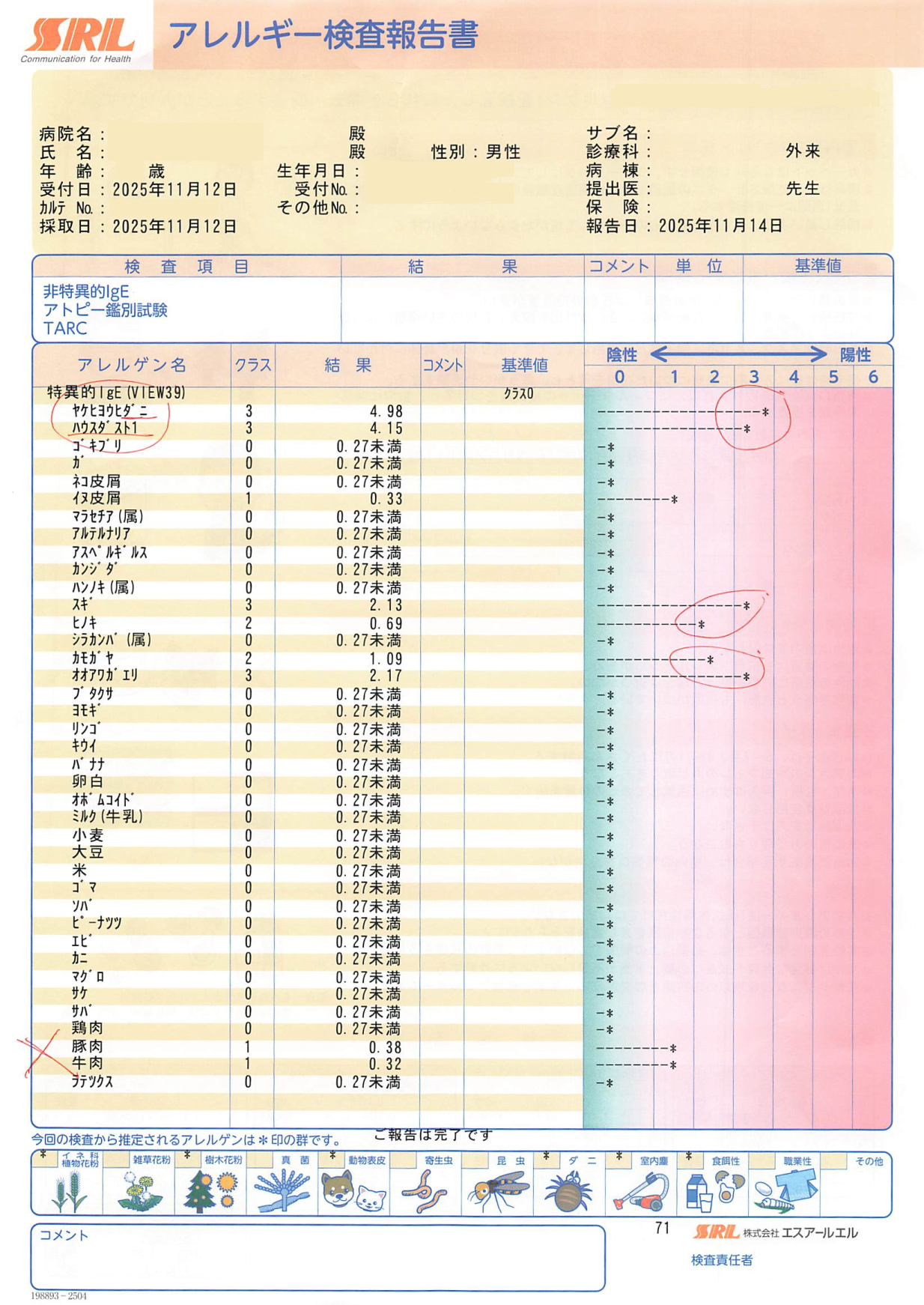 アレルギー検査報告書