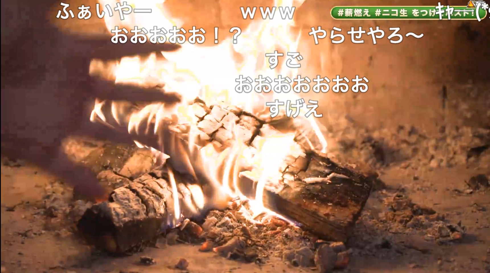 ニコニコ動画 ニコニコ生放送 オイラが燃やすぜ薪までも〜薪を燃やす24時間生放送2025〜（2025年12月25日07時頃1）